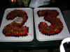 DSCN0881.JPG (634201 byte)