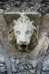 Particolare