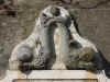Particolare